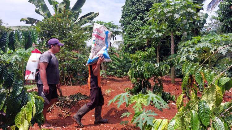Memupuk Swasembada Pangan di Tanah Priangan