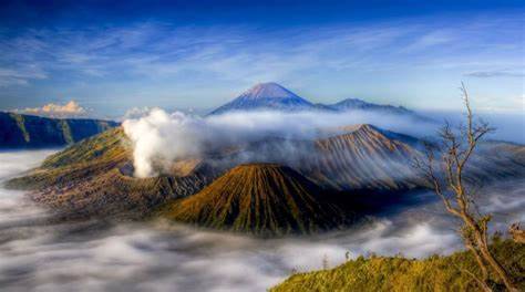 Ke Bromo, Simak 4 Tempat Terbaik untuk Melihat Matahari Terbit