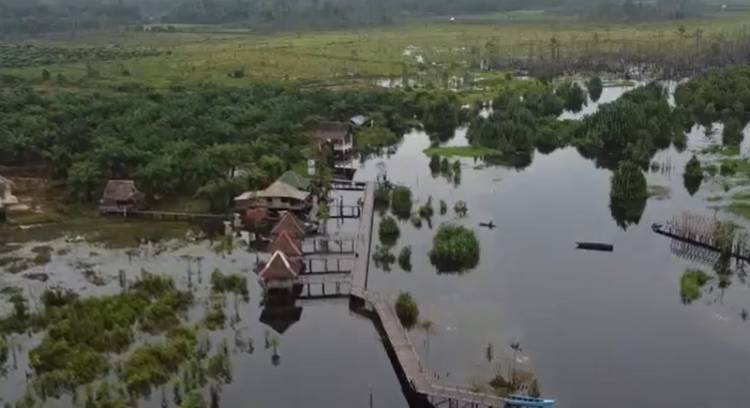 Inilah Wisata Alam Berbasis Konservasi Flora-Fauna di Bangka 