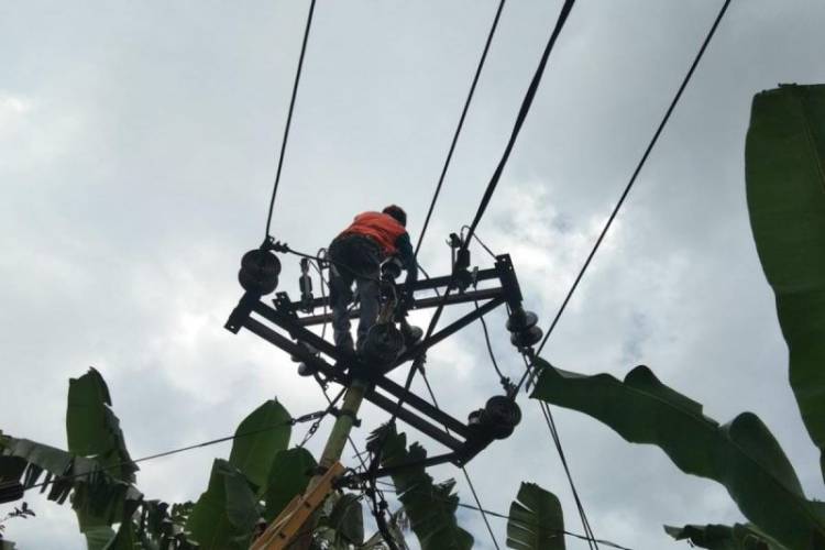 Gempa Laut Flores, PLN Sudah Pulihkan 194 Gardu yang Rusak