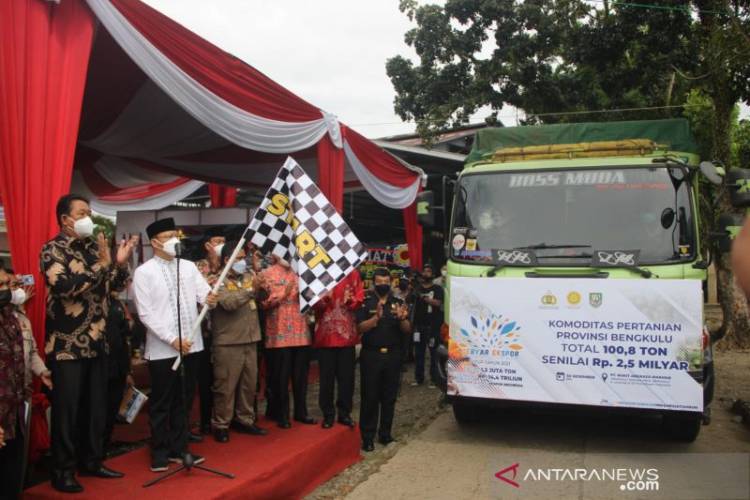 Eskspor Bengkulu ke Afrika Selatan: 100 Ton Hasil Pertanian