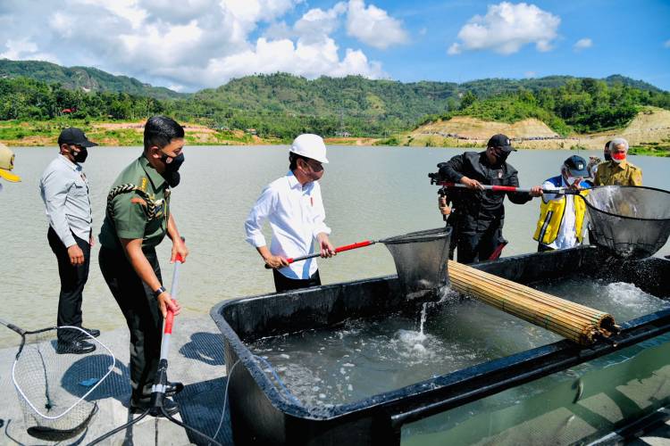 Presiden Perintahkan Jajarannya Penuhi Kebutuhan Energi Dalam Negeri