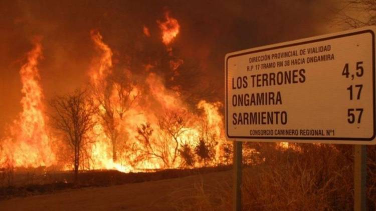 Kebakaran Hutan Hebat Menyebar di 9 Provinsi Argentina