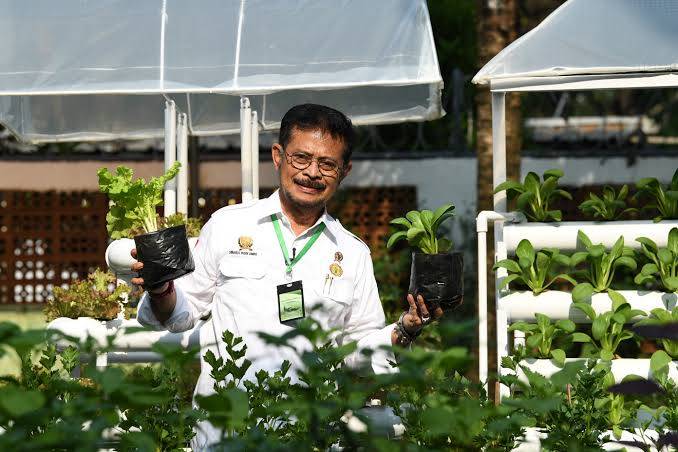 Kata Menteri Pertanian Soal Harga Pupuk yang Meroket