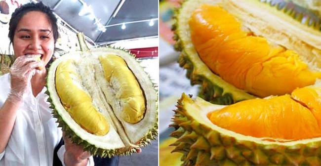 Apakah Durian Dapat Meningkatkan Kesuburan Wanita? Ini Penjelasannya!