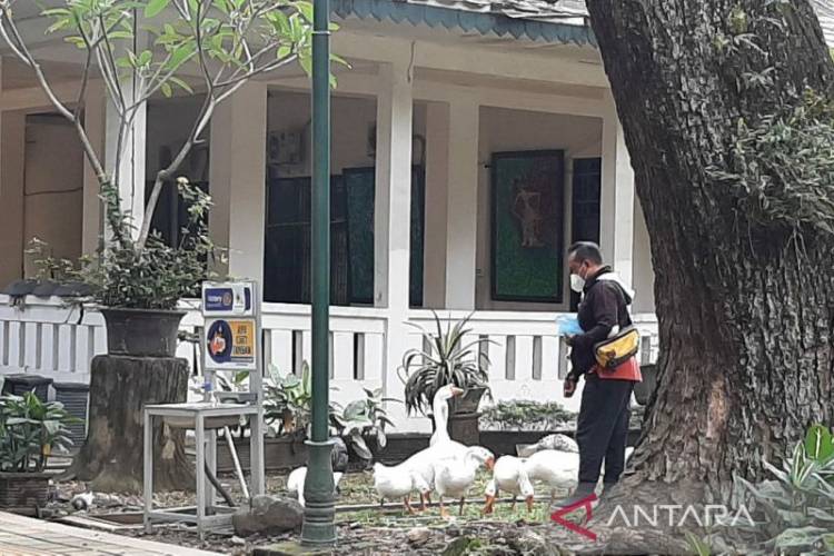 Janji Gibran soal Proyek Infrastruktur di Kota Surakarta