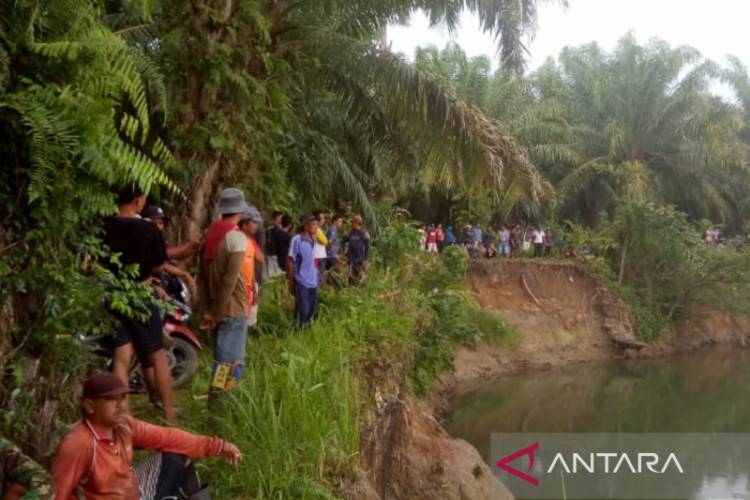 Diduga Dimakan Buaya, Seorang Warga Hilang di Bengkulu