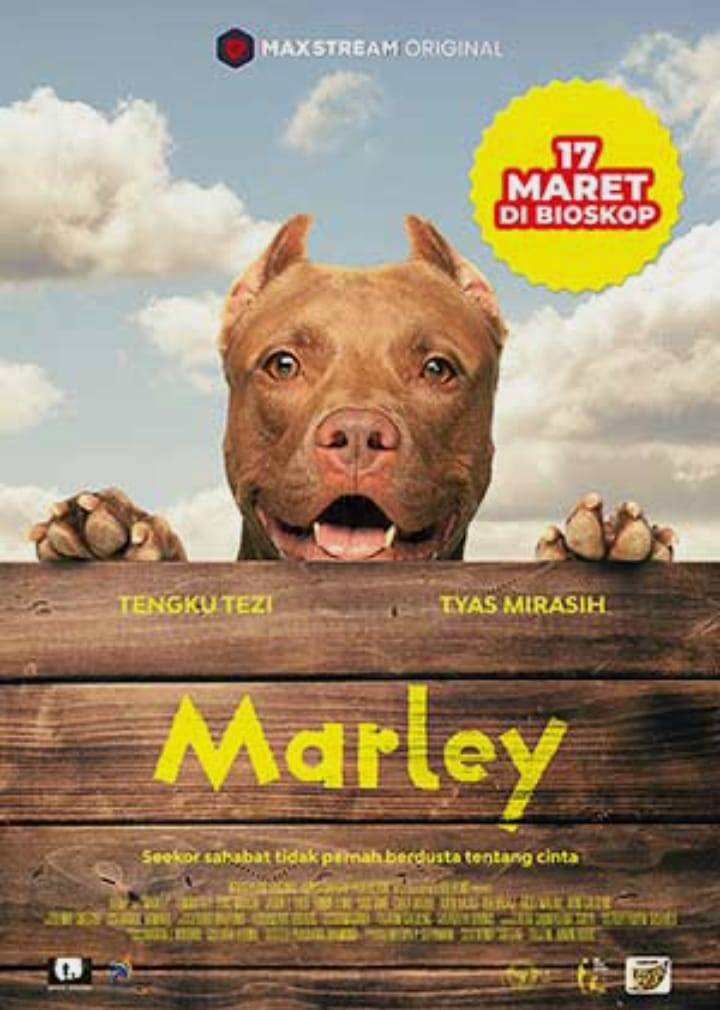 Marley Jadi Film Keluarga; So Entertaining!