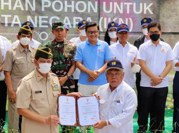 Istana Pindah, Pohon Beringinnya Menyusul