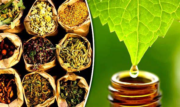 Ayo Sembuhkan Batuk Anda Dengan Herbal; Tanpa Efek Samping