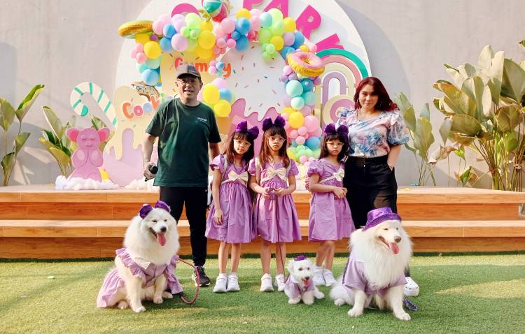 Digelaran Ultah Cookies and Gummy,  Samoyed Social Club Berikan Edukasi Tentang Solusi Kenakalan Samoyed