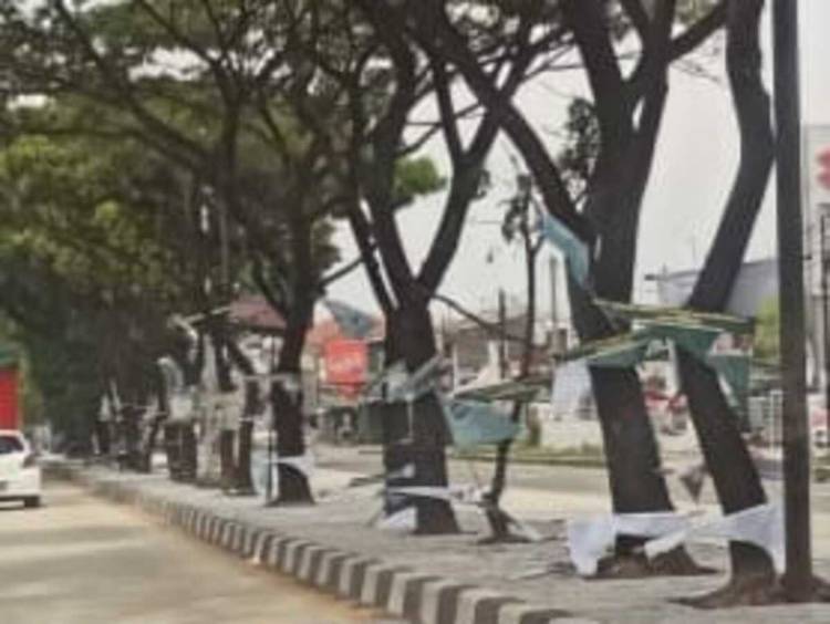 APK Ganjar-Mahfud di Jalur Cileunyi Dirusak, Barnas Nusantara Minta Bawaslu Bertindak