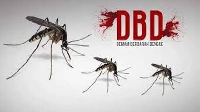 Kasus DBD Tembus 91 Ribu, Halodoc Siapkan Vaksin Dengue   Lewat Home Lab & Vaksinasi