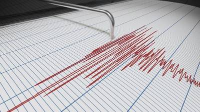 Gempa Bumi Dahsyat Magnitudo 7,1 Guncang Provinsi Miyazaki Jepang