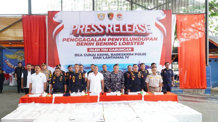 Polri dan TNI AL Gagalkan Penyelundupan Ratusan Ribu Benih Bening Lobster di Kepri