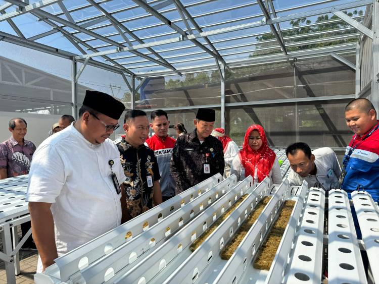 Kelompok Wanita Tani Lebak Gede Wujudkan Ketahanan Pangan dan Ketahanan Energi