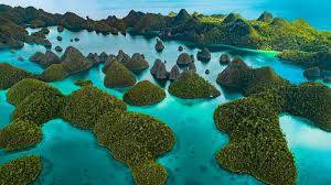 Menggagahi Raja Ampat, Melumpuhkan Keseimbangan Ekosistem 