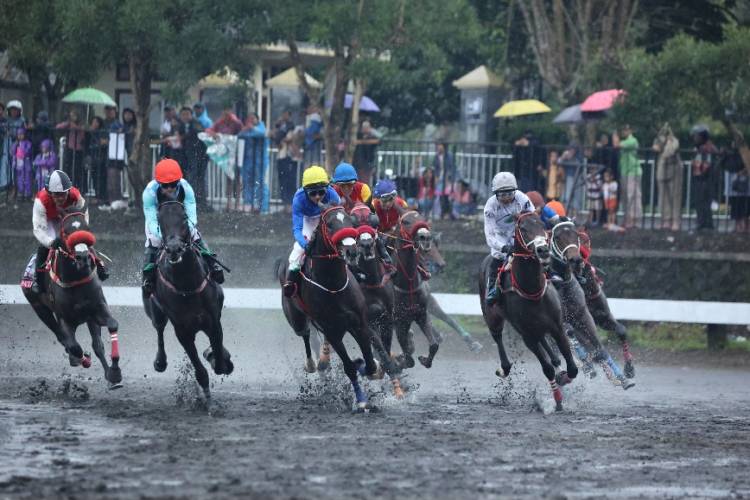 Kenapa Triple Crown Pacuan Kuda Sangat Bergengsi?