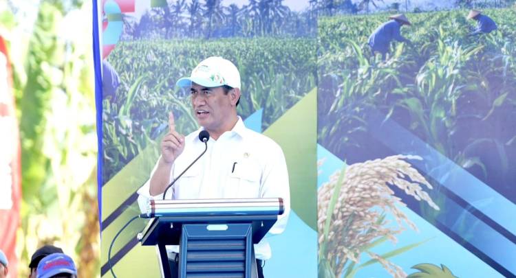 Tanam Jagung Serentak Bersama DPD RI, Mentan Amran Terus Dorong Lompatan Produksi Pangan