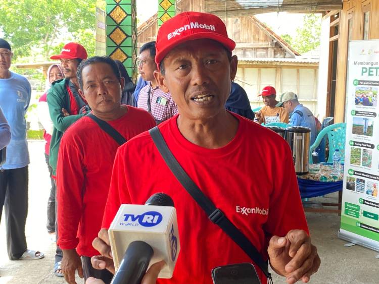 EMCL Inisiasi Sekolah Lapangan Pertanian,Dorong Kemandirian Petani  Bojonegoro