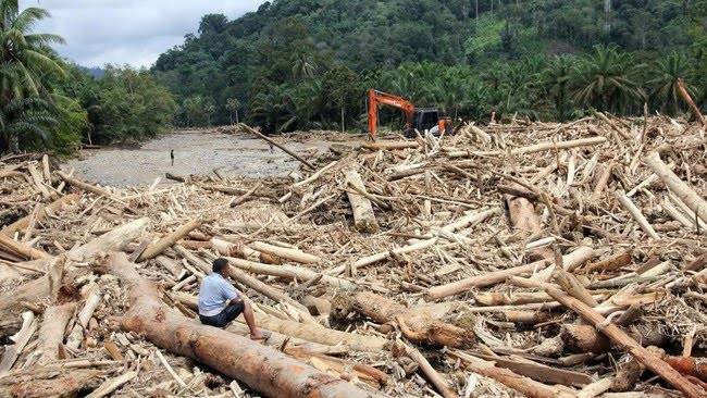 Gelondongan Kayu di Bencana Banjir Sumatera 