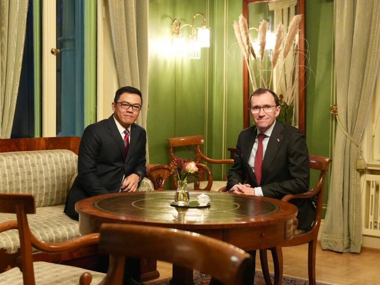 Top, Menlu Sugiono Dorong Penguatan Kerja Sama Energi Terbarukan dengan Norwegia