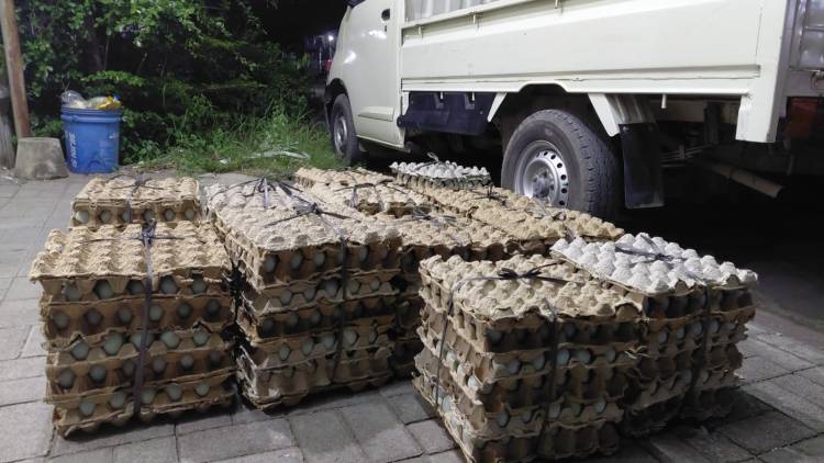 PMI Kirim 100 Ribu Butir Telur Asin untuk Korban Banjir di Sumatera dan Aceh