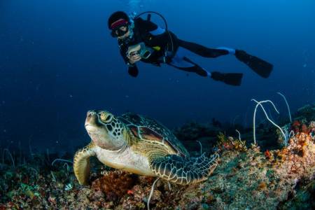 Indonesia dinobatkan Menjadi Negara Destinasi Diving Terbaik 2021    