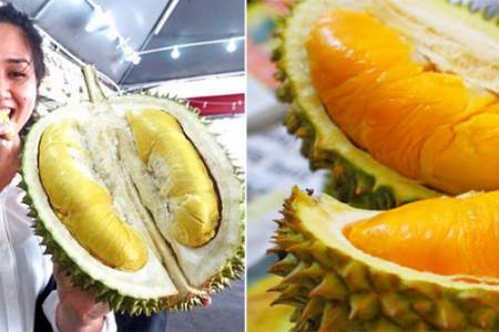 Apakah Durian Dapat Meningkatkan Kesuburan Wanita? Ini Penjelasannya!