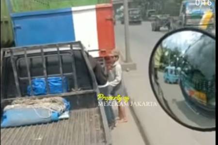 Viral Sopir Pikap di Palak 2 Bocah Gunakan Senjata Tajam