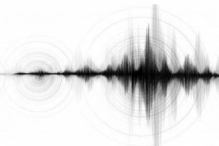 Gempa Berkekuatan M4,9 Guncang Sumur Banten