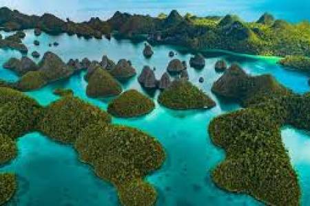 Menggagahi Raja Ampat, Melumpuhkan Keseimbangan Ekosistem 