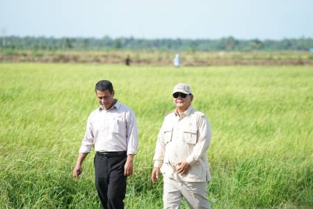 Survei Litbang Kompas: 71,5 Persen Puas dengan Kinerja Kementan