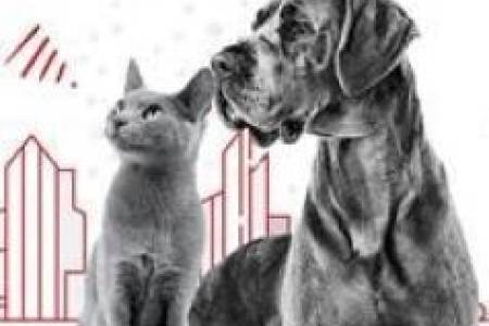 Pentingnya Pecinta Hewan Memahami Nutrisi yang Tepat untuk Hewan Kesayangan