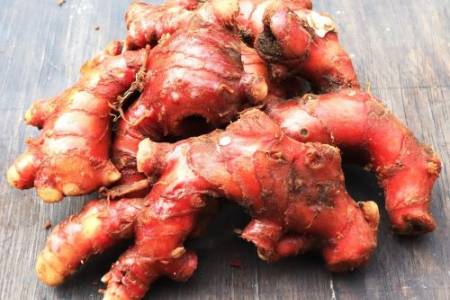 Dari Tradisi ke Standar Industri Obat Herbal Global, Jahe Merah Miliki Banyak Khasiat