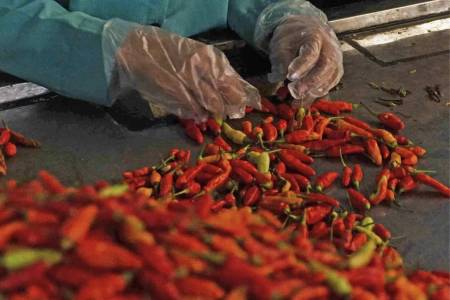 Harga Cabai dan Bawang Merah Naik Gila-gilaan