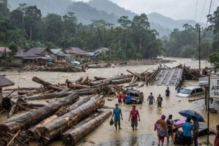 Kerusakan Hutan Berada Pada Daerah Mudah Transaksi Alih Fungsi Hutan