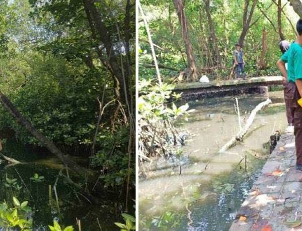 Sharp Indonesia Perkuat Komitmen Keberlanjutan melalui Aksi Nyata di Hari Bumi 2026